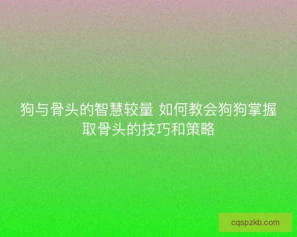 狗与骨头的智慧较量 如何教会狗狗掌握取骨头的技巧和策略